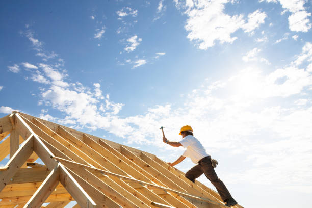 Best Roof Moss and Algae Removal  in Owasso, OK
